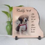 How to Handle Pet Loss: Grieving, Supports & Memorial Ideas for Pet Owners