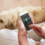 How to Use Behavior Tracking Apps to Monitor Your Pet’s Mood: A Guide for Pet Owners