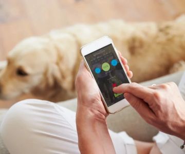 How to Use Behavior Tracking Apps to Monitor Your Pet’s Mood: A Guide for Pet Owners