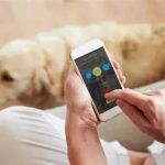 How to Use Behavior Tracking Apps for Pets: Monitor Health & Behavior