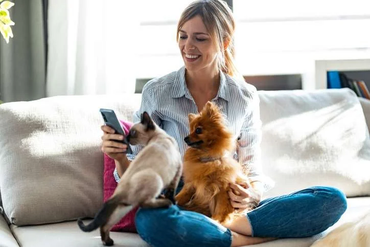 How to Monitor Pet Vital Signs at Home Safely – A Complete Guide