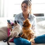 How to Monitor Pet Vital Signs at Home Safely – A Complete Guide