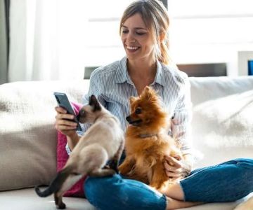 How to Monitor Pet Vital Signs at Home Safely – A Complete Guide