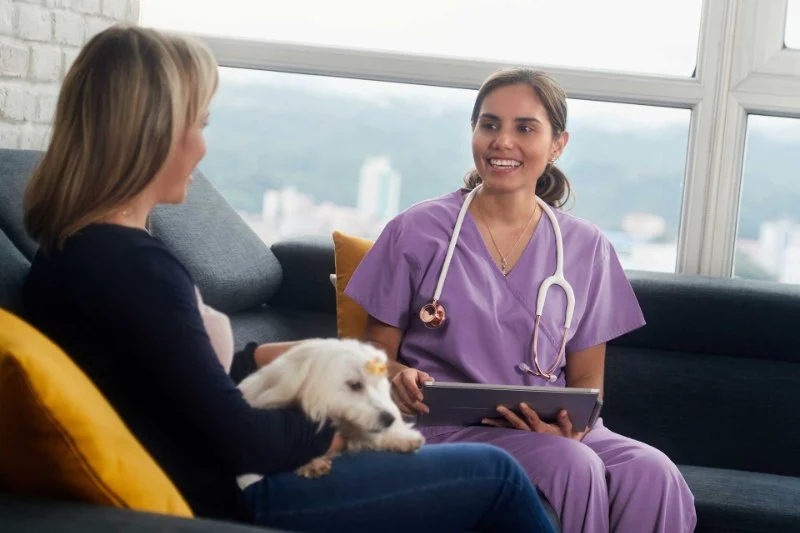 How to Vet & Interview a Prospective Veterinarian: A Complete Guide for Pet Owners