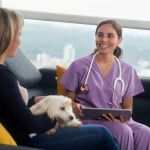 How to Vet & Interview a Prospective Veterinarian: A Complete Guide for Pet Owners