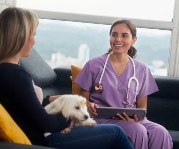 How to Vet & Interview a Prospective Veterinarian: A Complete Guide for Pet Owners