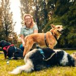 How to Train a Service Dog: Basics & Considerations
