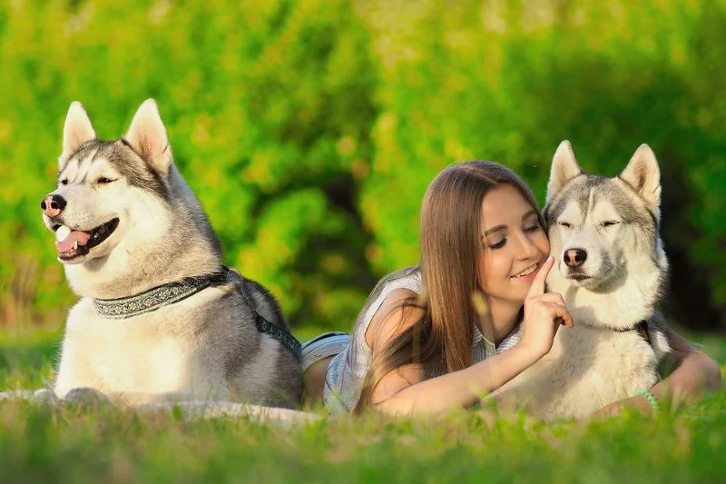 How to Handle Pet Jealousy When You Have More Than One