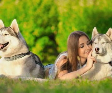How to Handle Pet Jealousy When You Have More Than One