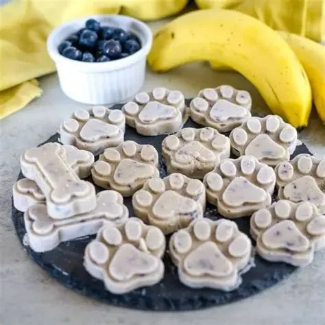 DIY Frozen Treats for Pets: Recipes & Safety Tips