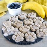 DIY Frozen Treats for Pets: Recipes & Safety Tips