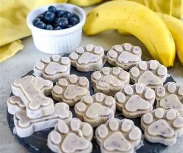 DIY Frozen Treats for Pets: Recipes & Safety Tips