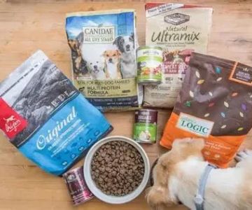 How to Vet a New Pet Food Brand: 10 Warning Flags