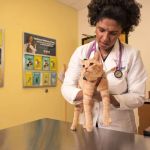 How AI & Data Are Transforming Preventive Pet Health Care