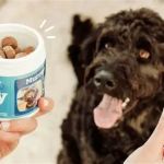 Which Pet Supplements Are Worth the Money (and Which Aren’t)?