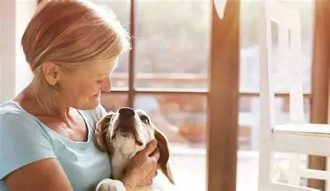 Transitioning Training Methods as Pet Ages: Adapting Techniques for Senior Pets