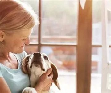 Transitioning Training Methods as Pet Ages: Adapting Techniques for Senior Pets