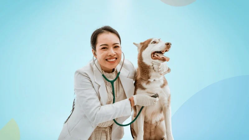 How Pet Startups Are Disrupting Traditional Vet Care