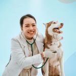 How Pet Startups Are Disrupting Traditional Vet Care