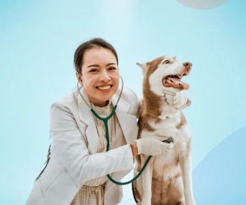 How Pet Startups Are Disrupting Traditional Vet Care