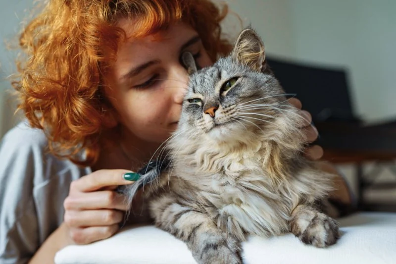 Top 10 Mistakes New Pet Owners Make & How to Avoid Them
