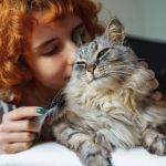 Top 10 Mistakes New Pet Owners Make & How to Avoid Them