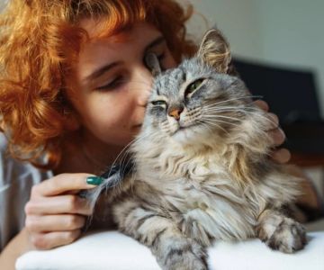 Top 10 Mistakes New Pet Owners Make & How to Avoid Them