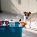 The Hidden Dangers in Common Pet Supplies