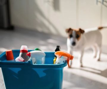 The Hidden Dangers in Common Pet Supplies