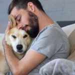 How to Help a Pet Deal with Anxiety After Trauma