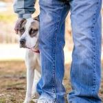How to Build Confidence in a Shy Pet
