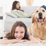 The Impact of Indoor Air Quality on Pet Respiratory Health