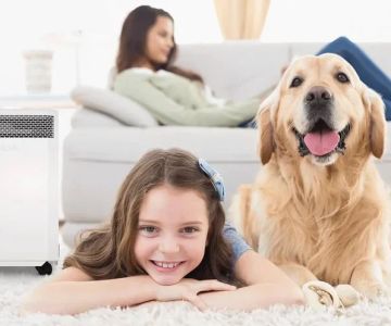 The Impact of Indoor Air Quality on Pet Respiratory Health