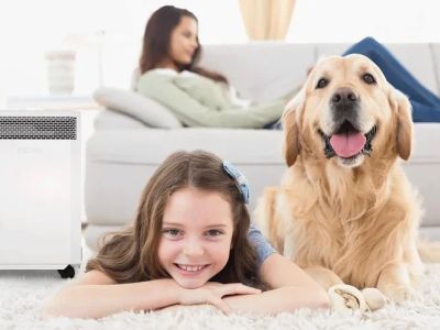 The Impact of Indoor Air Quality on Pet Respiratory Health