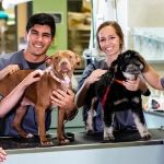 What to Ask Before Boarding Your Pet: Vet & Staff Questions | Pet & Puppy