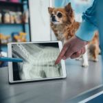 How AI & Machine Learning Are Shaping Veterinary Diagnostics