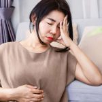 The Role of Gut Microbiome in Pet Mental Health and Behavior