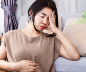 The Role of Gut Microbiome in Pet Mental Health and Behavior