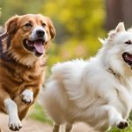 The Role of Exercise in Preventing Pet Obesity | Pet & Puppy