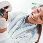 Veterinary Dentistry: What You Didn’t Know but Should