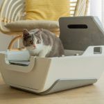 How Smart Litter Boxes Help Monitor Cat Health