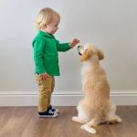 How to Introduce a New Kitten or Puppy to Kids