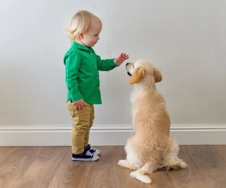 How to Introduce a New Kitten or Puppy to Kids