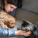How to Introduce a New Puppy or Kitten to Existing Pets
