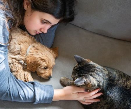 How to Introduce a New Puppy or Kitten to Existing Pets