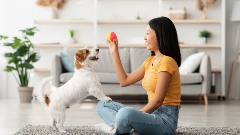 How to Advocate for Your Pet’s Health: What Owners Should Know