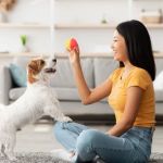 How to Advocate for Your Pet’s Health: What Owners Should Know