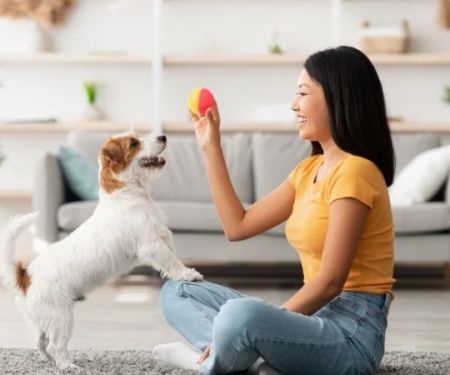 How to Advocate for Your Pet’s Health: What Owners Should Know