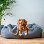 Creating a Comfortable Sleeping Space for Your Pet: Tips & Ideas