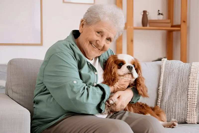 How to Keep Aging Pets Comfortable at Home